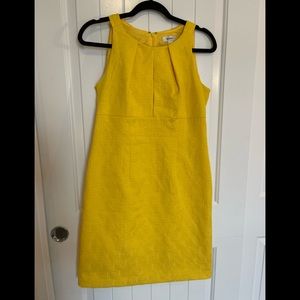 DRESS BARN. Yellow Fitted Dress.